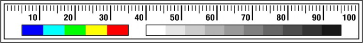 Měřítko 10 x 1 cm BBM-12